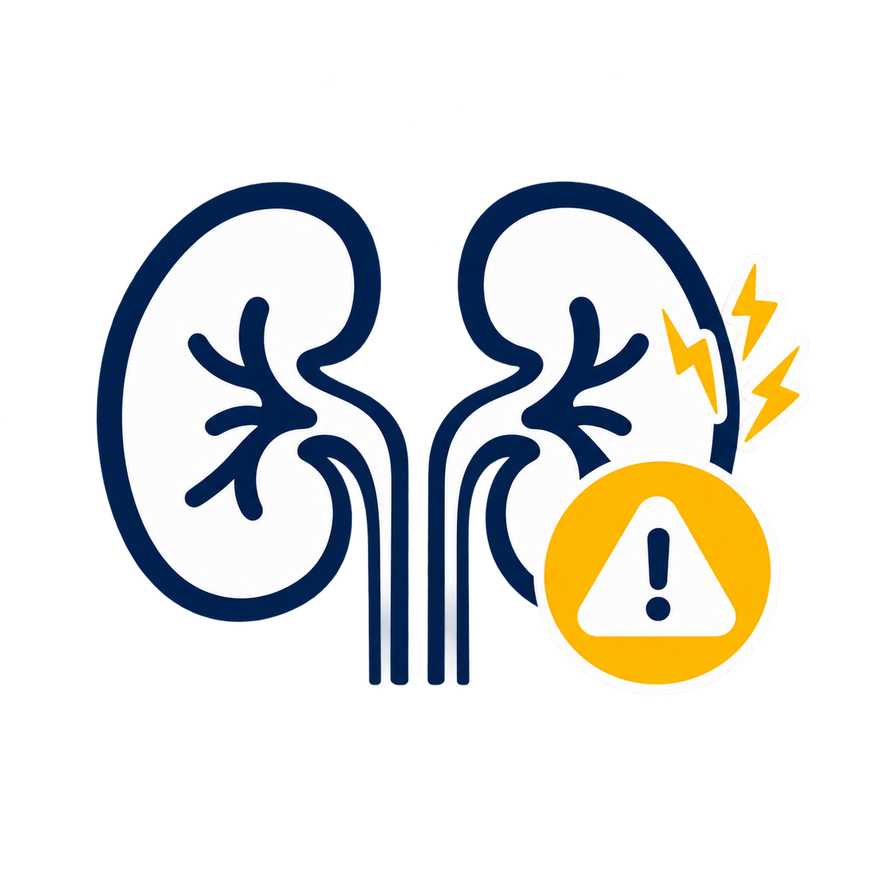 acute kidney