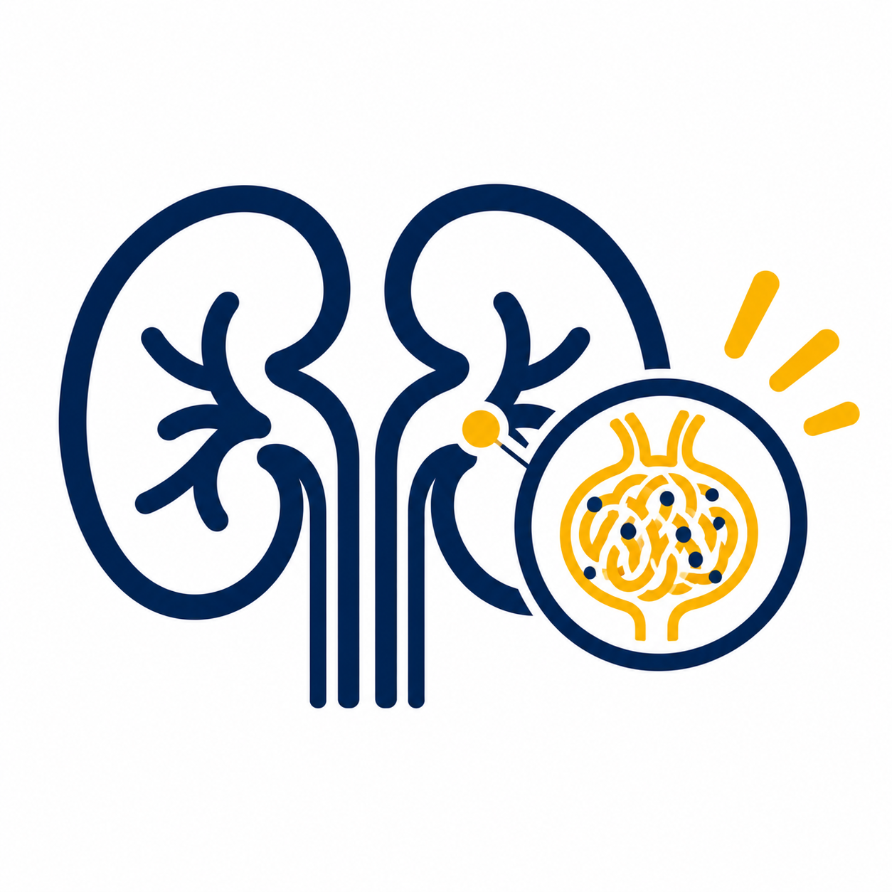 glomerular